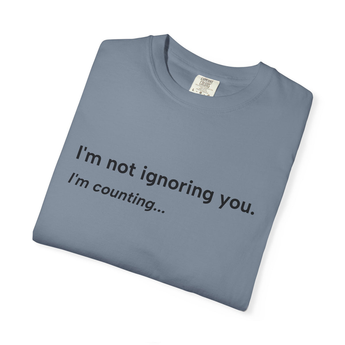 I'm Not Ignoring You, I'm Counting – Funny Musician T-Shirt