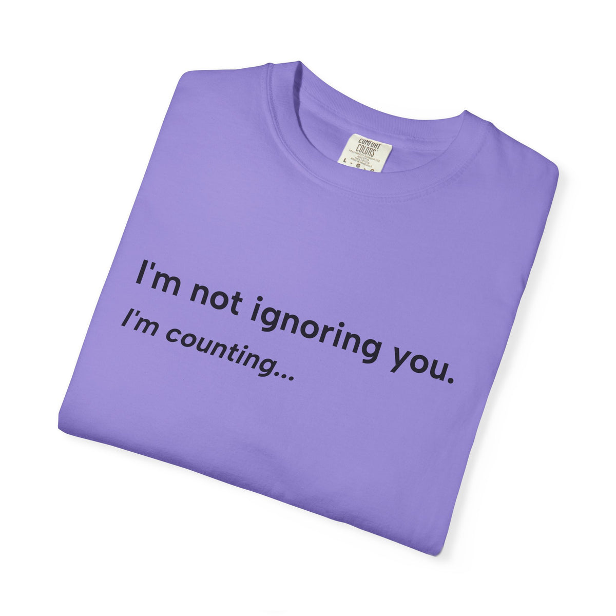 I'm Not Ignoring You, I'm Counting – Funny Musician T-Shirt