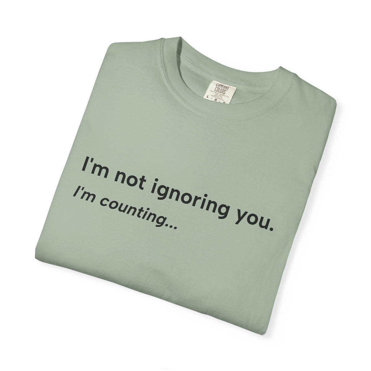 I'm Not Ignoring You, I'm Counting – Funny Musician T-Shirt