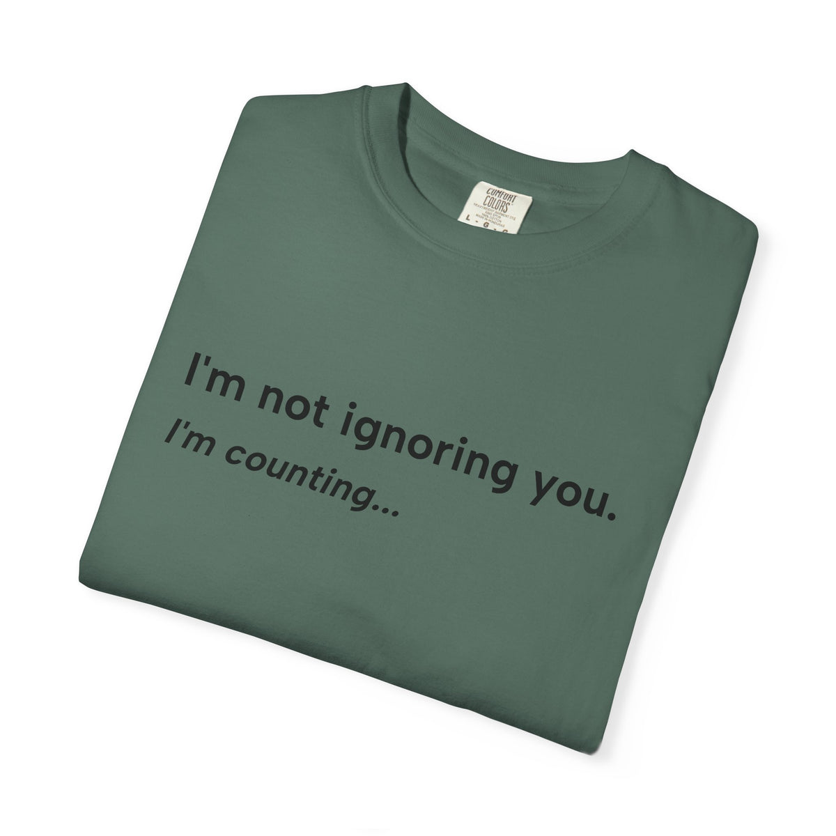 I'm Not Ignoring You, I'm Counting – Funny Musician T-Shirt