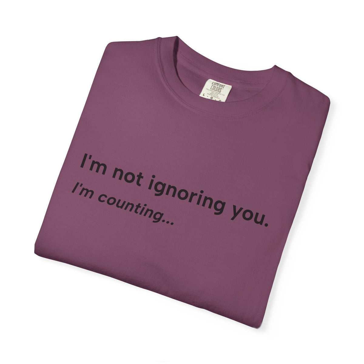 I'm Not Ignoring You, I'm Counting – Funny Musician T-Shirt