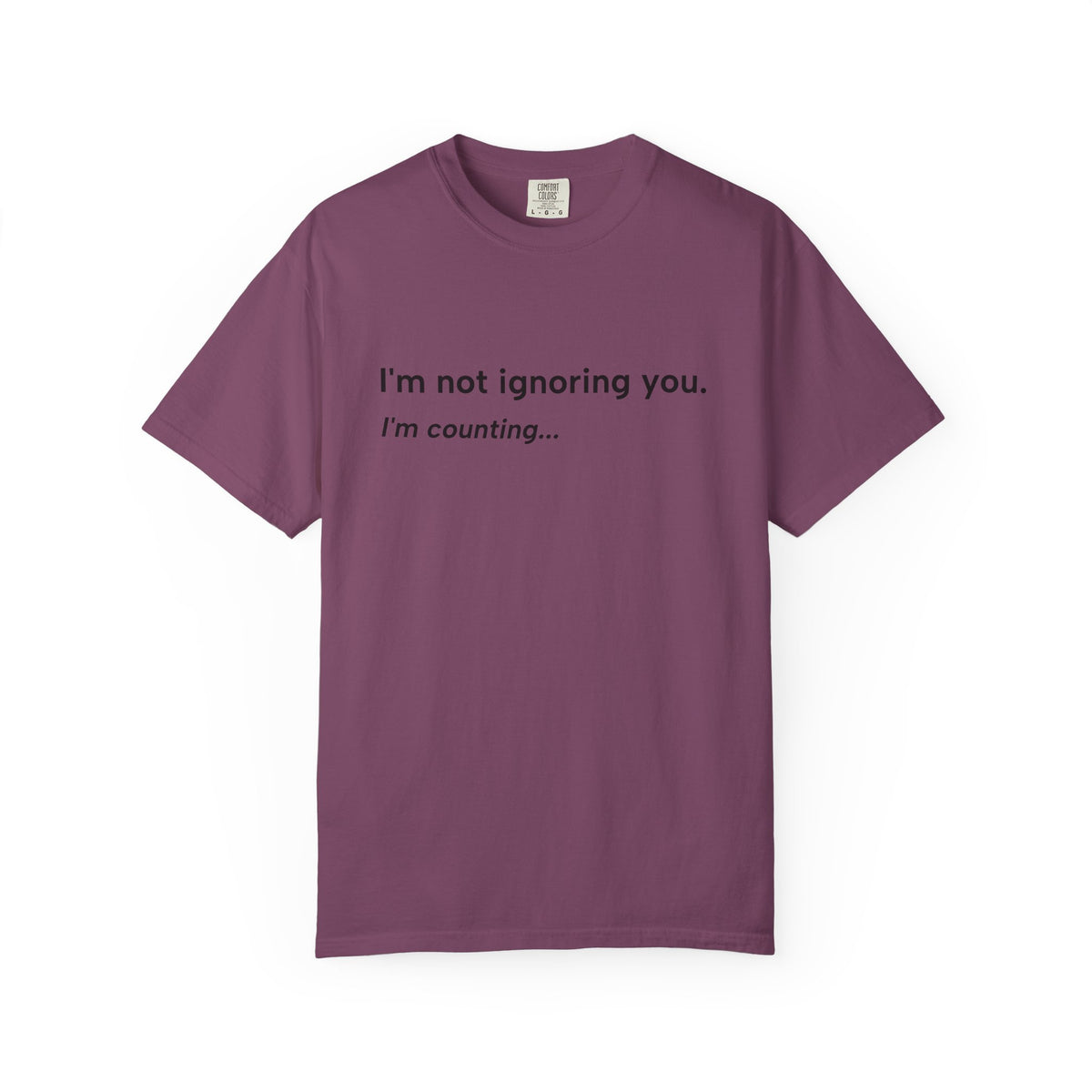 I'm Not Ignoring You, I'm Counting – Funny Musician T-Shirt